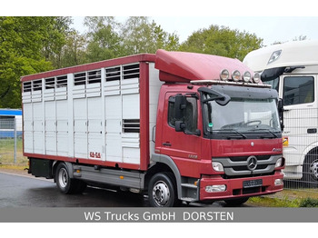 Mercedes-Benz Atego 1329  4x2  KA-BA Viehtransporter Großvieh  - Annet utstyr: bilde 1