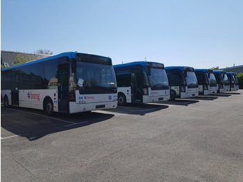 Bybuss 6 x Ambrassador 200 Linienbus: bilde 1