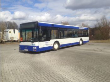 MAN Lions Coach A21  - Bybuss