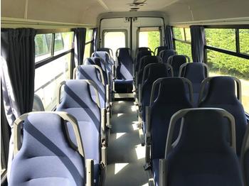 Minibuss, Persontransport IVECO DAILY: bilde 1