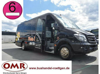 Minibuss, Persontransport Mercedes-Benz 519 CDI / Sprinter / THT-Ausbau: bilde 1