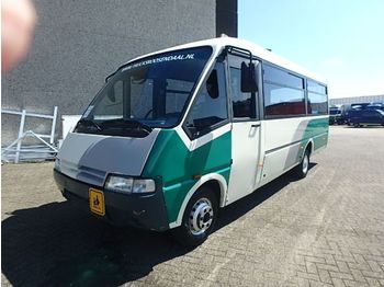 Iveco Schoolbus + manual + 29+1 seats + WEBASTO - Minibuss