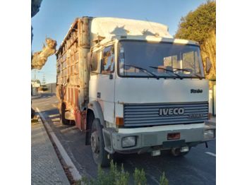 IVECO 175.24 Turbo left hand drive 19 ton Manual Telma Cattle - Dyretransport lastebil