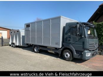 Dyretransport lastebil for transport av dyr Mercedes-Benz 821L" Neu" WST Edition" Menke Einstock Vollalu: bilde 1