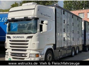 Dyretransport lastebil Scania R 560 Topline Menke 4 Stock Hubdach: bilde 1