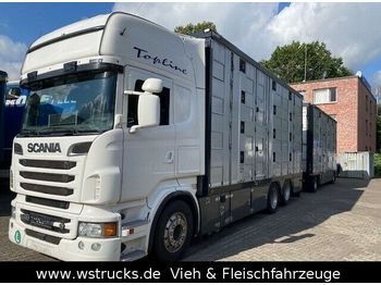 Dyretransport lastebil Scania R 560 Topline Menke 4 Stock Hubdach Komplett: bilde 1