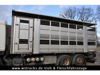 Dyretransport lastebil Scheuwimmer BDF 2 Stock Aufbau Hubdach: bilde 1