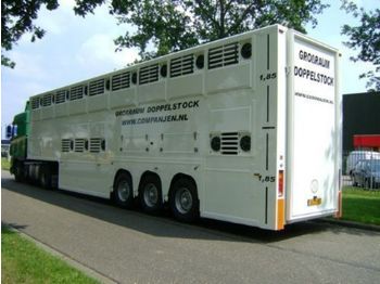 Gray and Adams Doppelstock Companjen Cattle Carrier - Dyretransport semitrailer