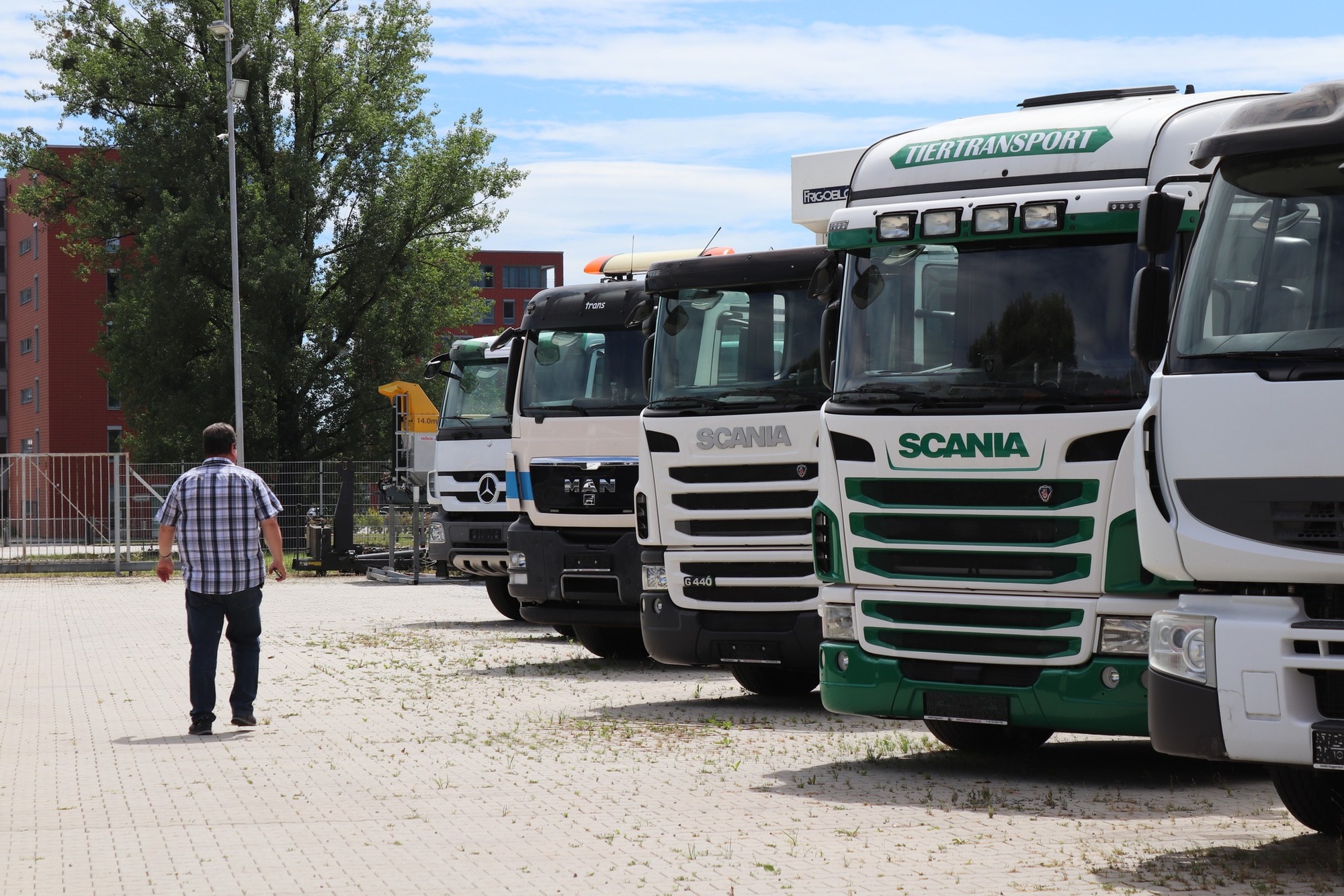 Donau Trucks GmbH undefined: bilde 3